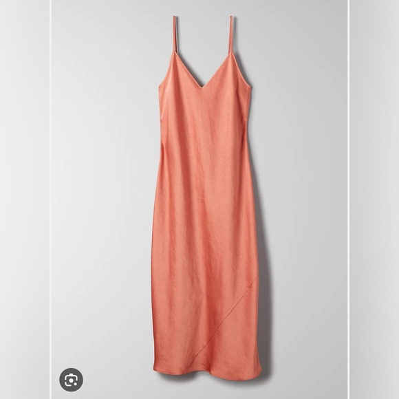 Aritzia Wilfred Christine dress - Picture 3 of 5